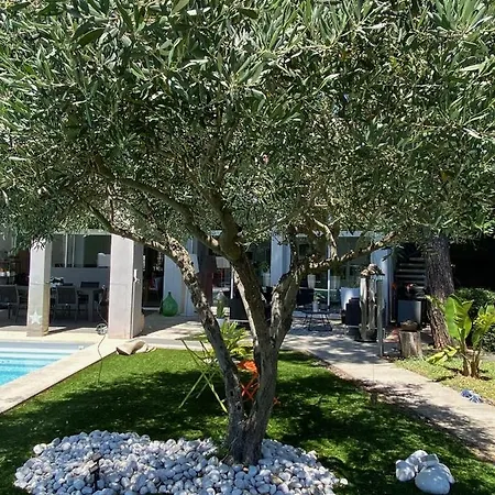 Une Parenthese Sous Les Pins A Oda ve Kahvaltı Montpellier